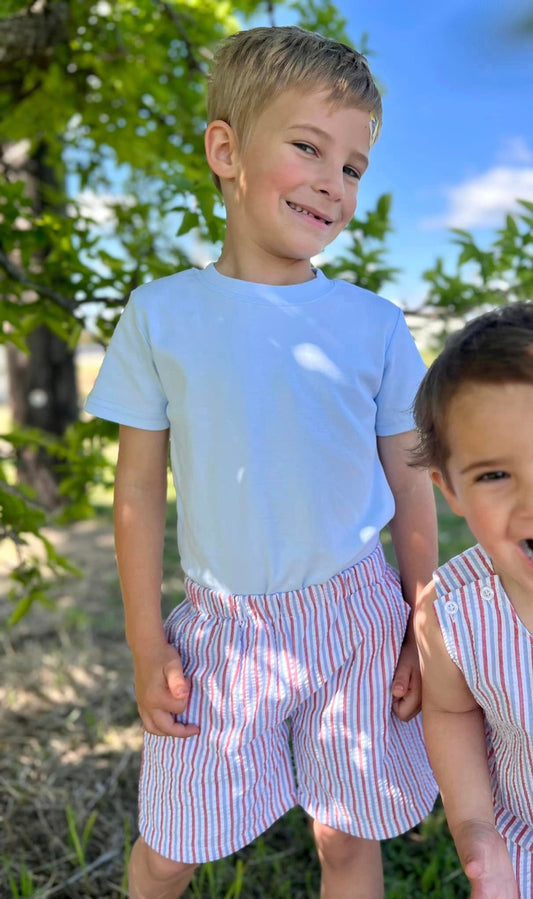 Patriotic Seersucker Shorts